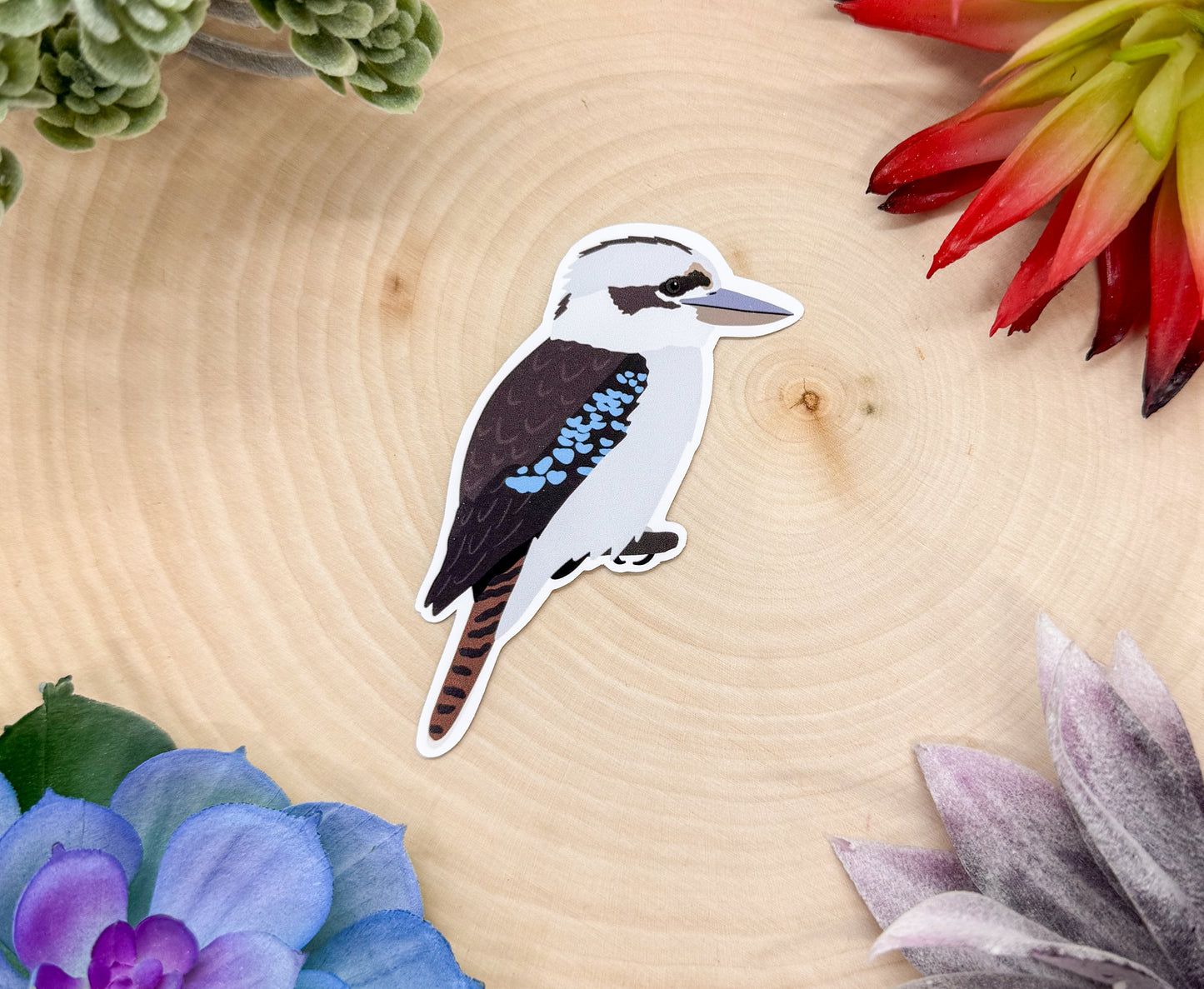 Kookaburra Sticker