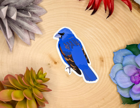 Blue Grosbeak Sticker