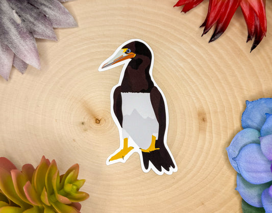 Brown Booby Sticker