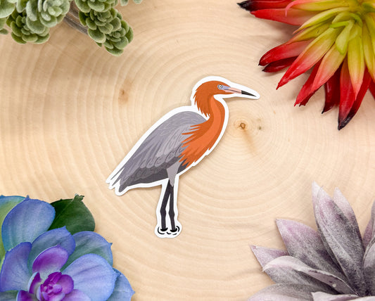 Reddish Egret Sticker