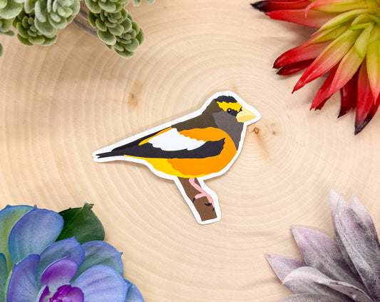 Evening Grosbeak Sticker