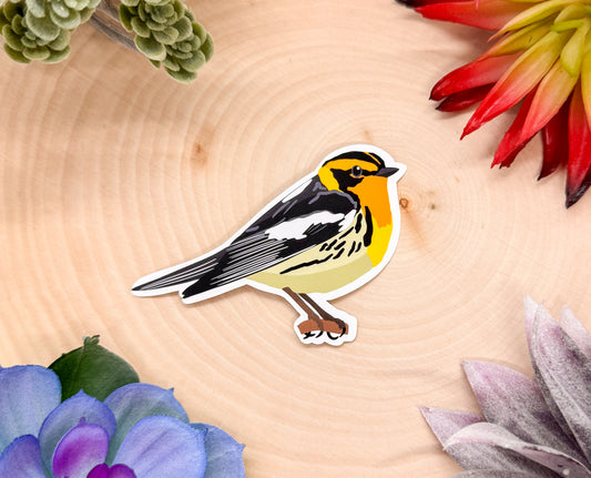Blackburnian Warbler Sticker