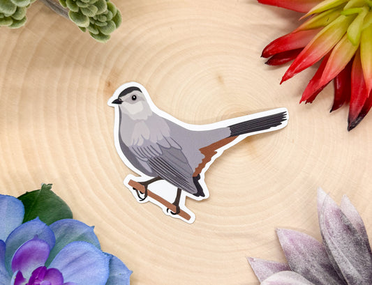 Gray Catbird Sticker