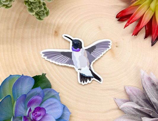 Black Chinned Hummingbird Sticker