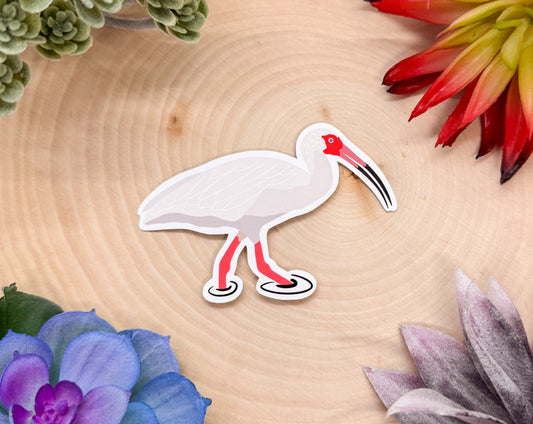 White Ibis Sticker