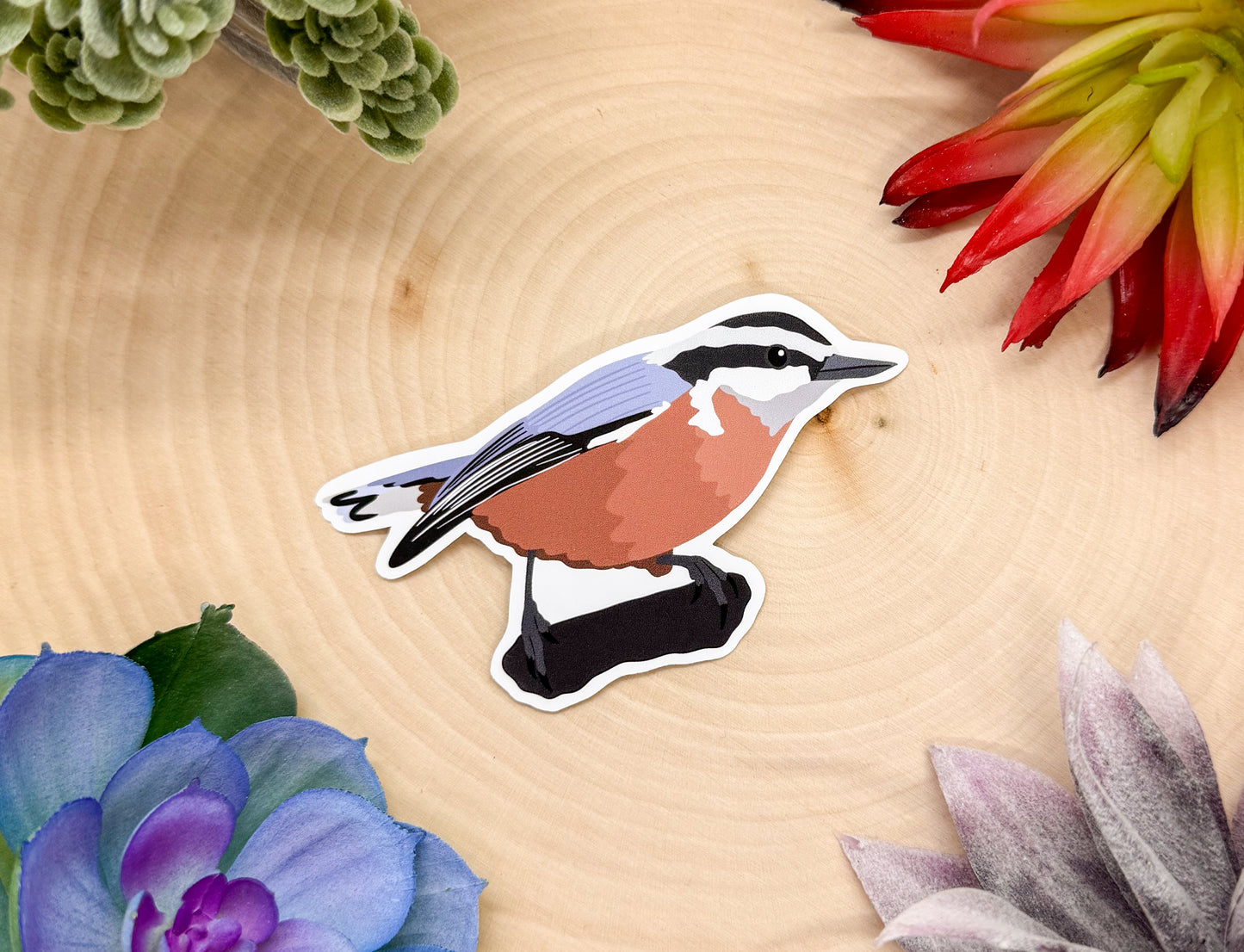 Red Breasted Nuthatch Sticker