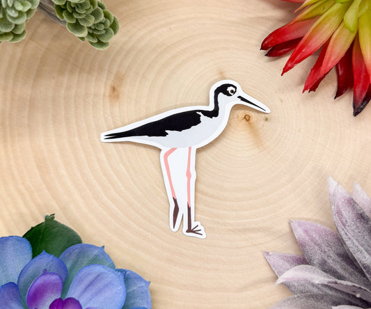 Black Necked Stilt Sticker