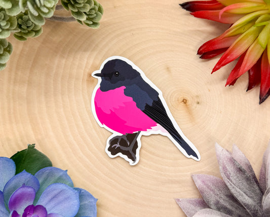 Pink Robin Sticker