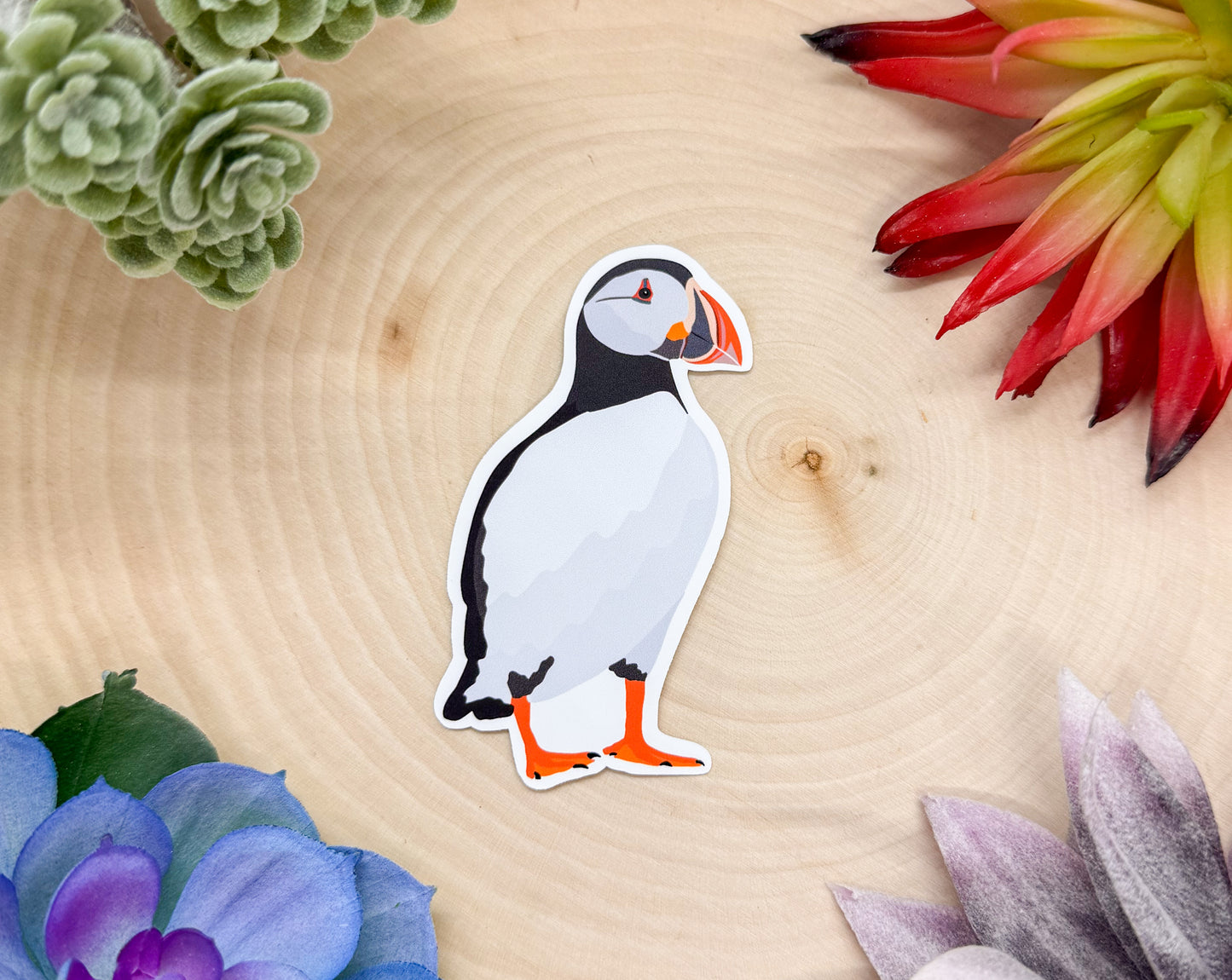 Atlantic Puffin Sticker