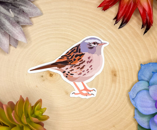 Dunnock Sticker