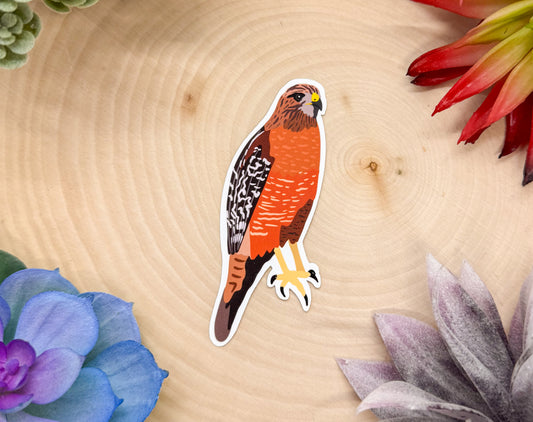 Red Shouldered Hawk Sticker
