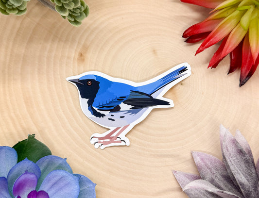 Black Throated Blue Warbler Sticker