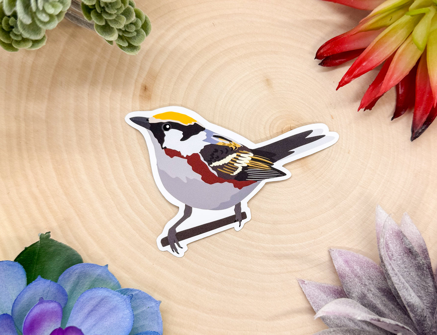 Chestnut Sided Warbler Sticker