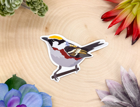 Chestnut Sided Warbler Sticker