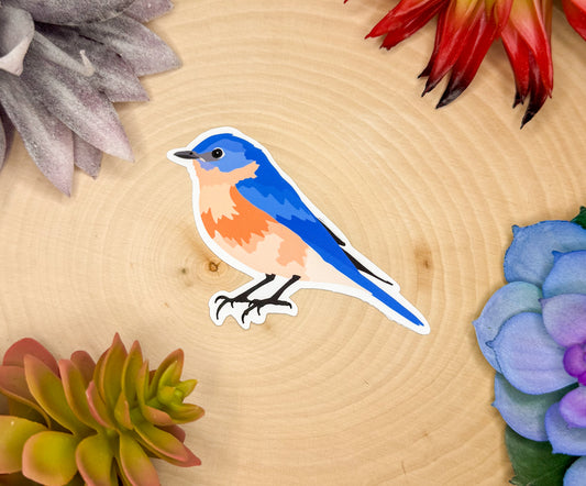 Eastern Bluebird Sticker
