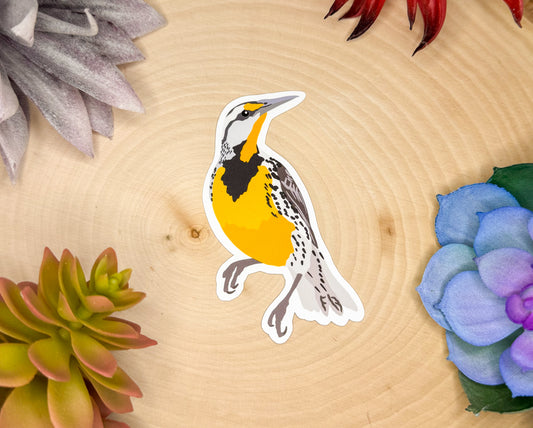 Eastern Meadowlark Sticker