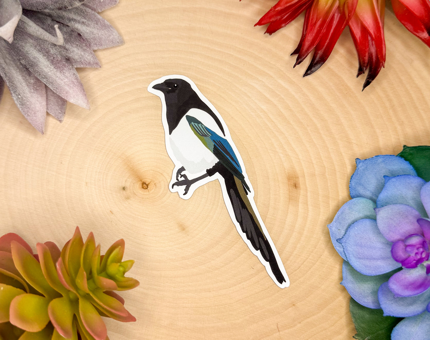 Eurasian Magpie Sticker