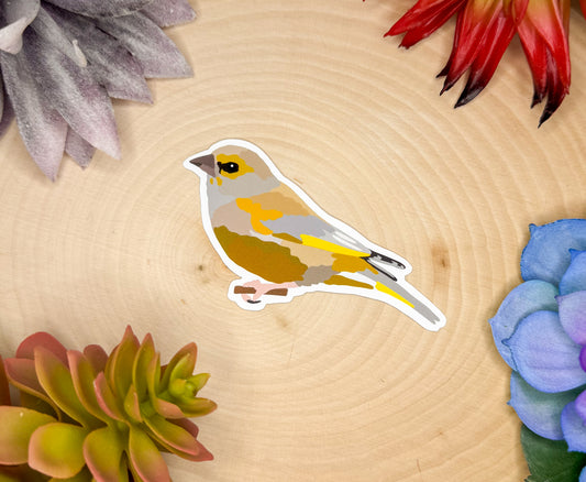 European Greenfinch Sticker
