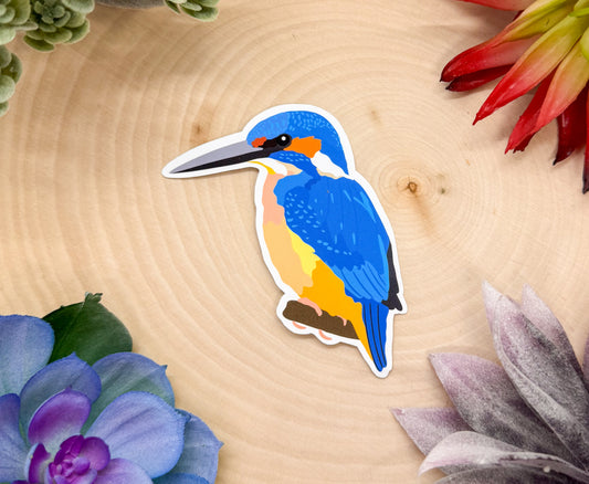 Common Kingfisher Sticker