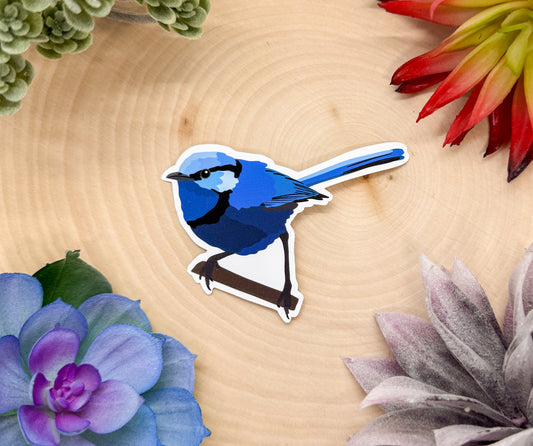 Splendid Fairywren Sticker