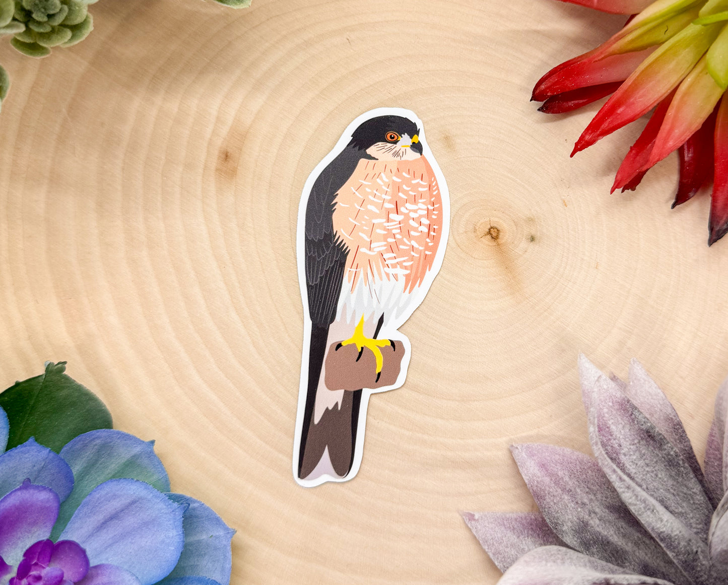 Sharp Shinned Hawk Sticker