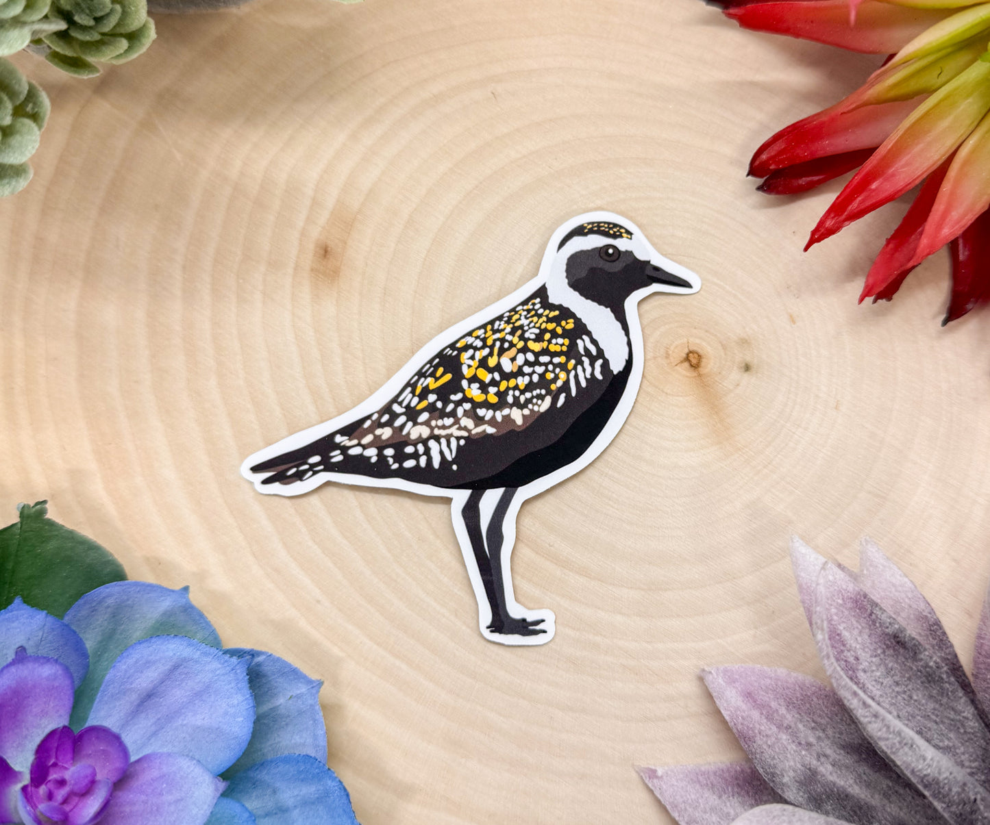 American Golden Plover Sticker