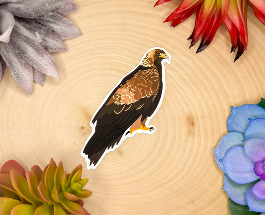 Golden Eagle Sticker