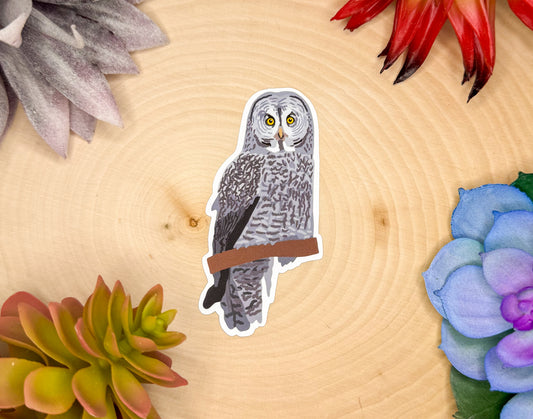 Great Gray Owl Sticker