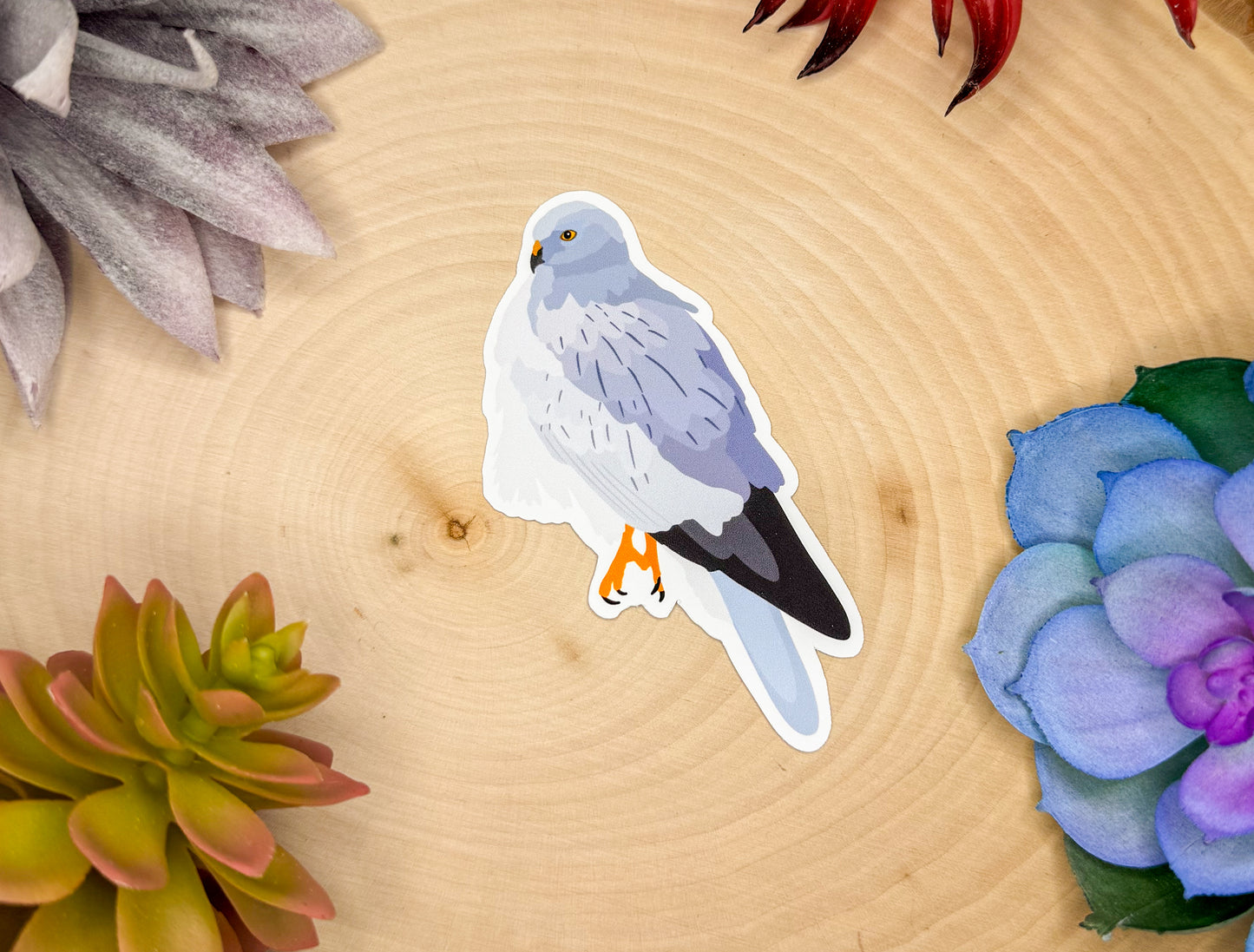 Hen Harrier Sticker