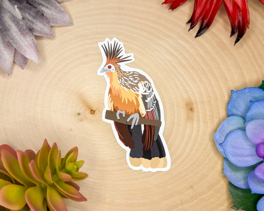 Hoatzin Sticker