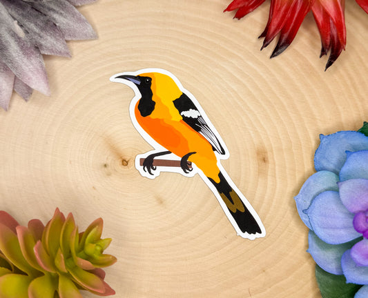 Hooded Oriole Sticker