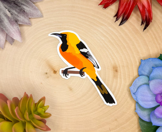 Hooded Oriole Sticker