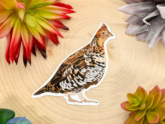Ruffed Grouse Sticker