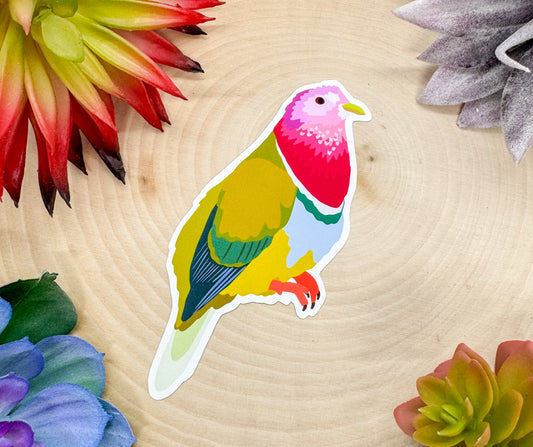 Pink Headed Fruit Dove Sticker