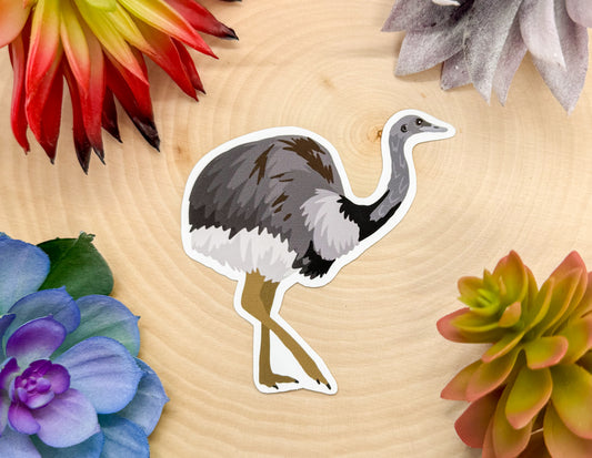 Greater Rhea Sticker