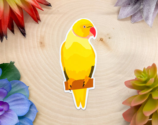 Indian Ring-Necked Parrot Sticker