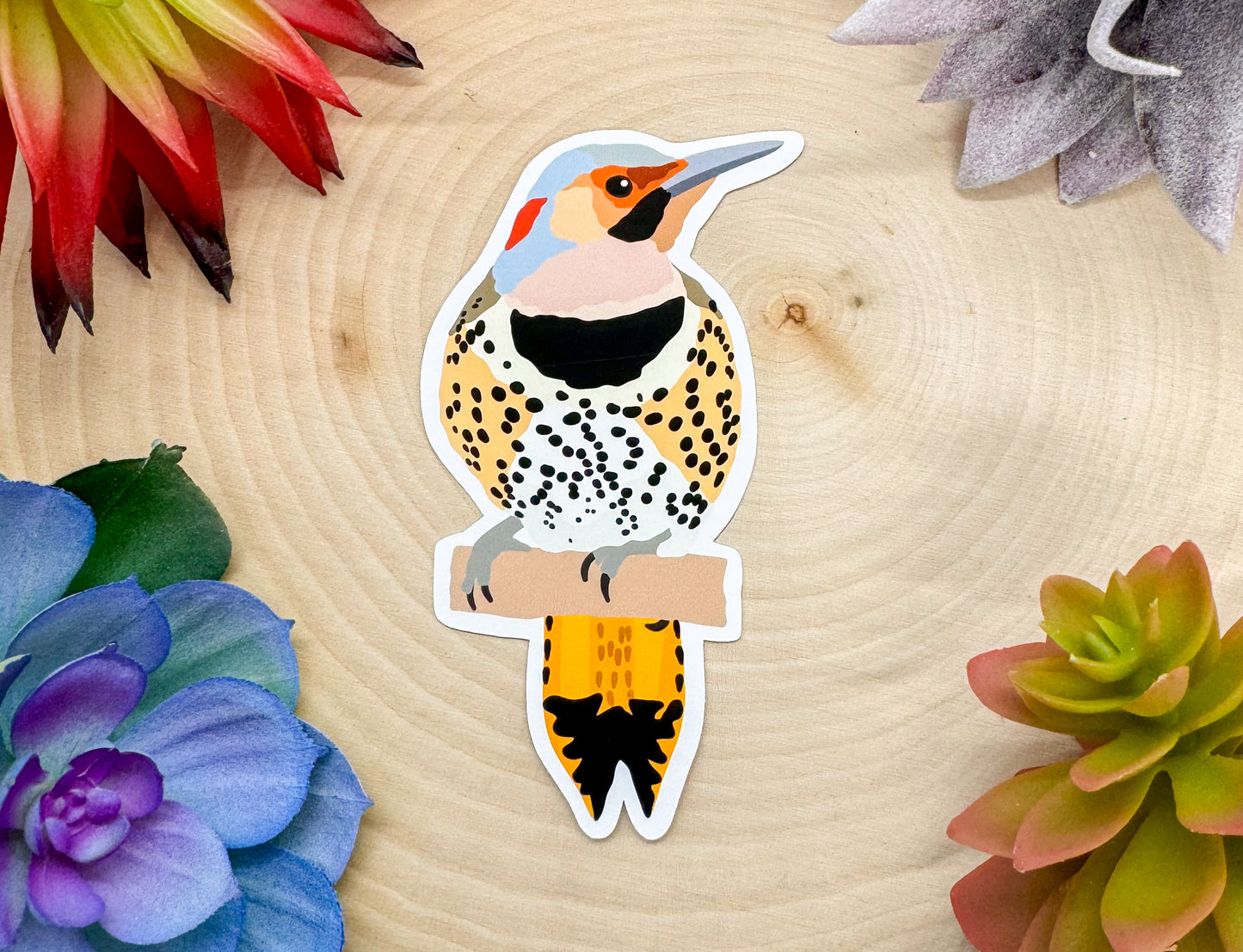 Northern Flicker Sticker