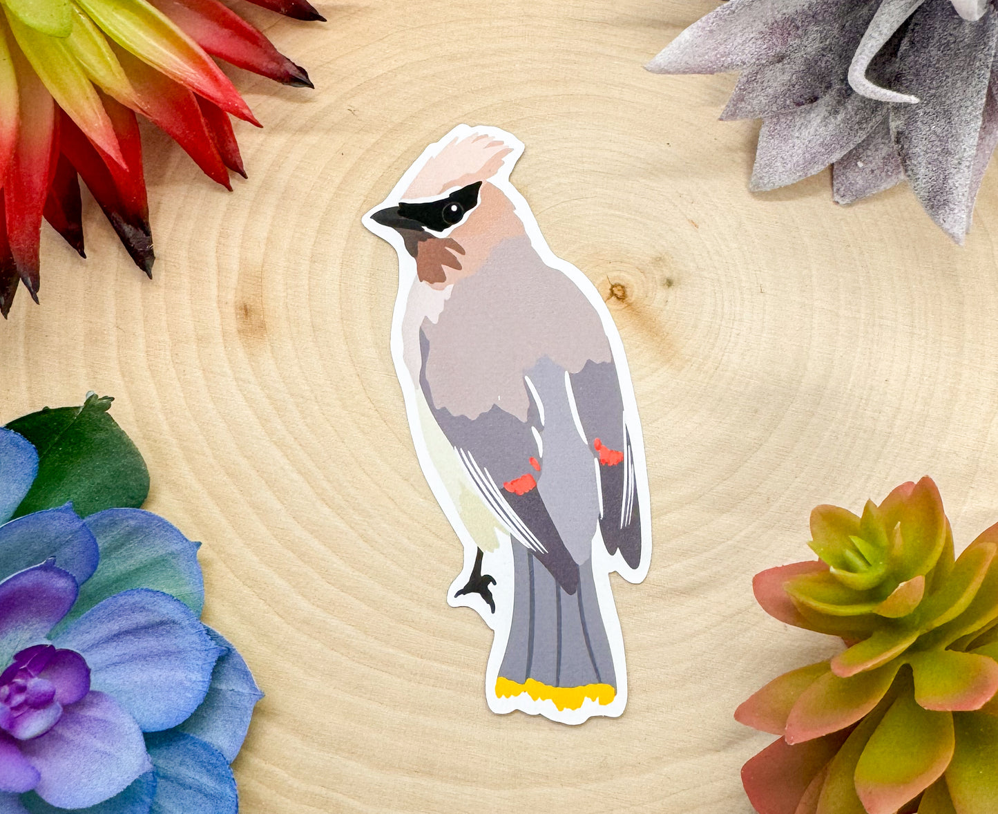 Cedar Waxwing Sticker