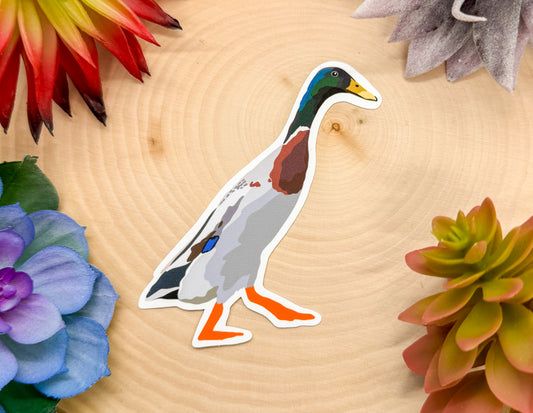 Indian Runner Duck Sticker