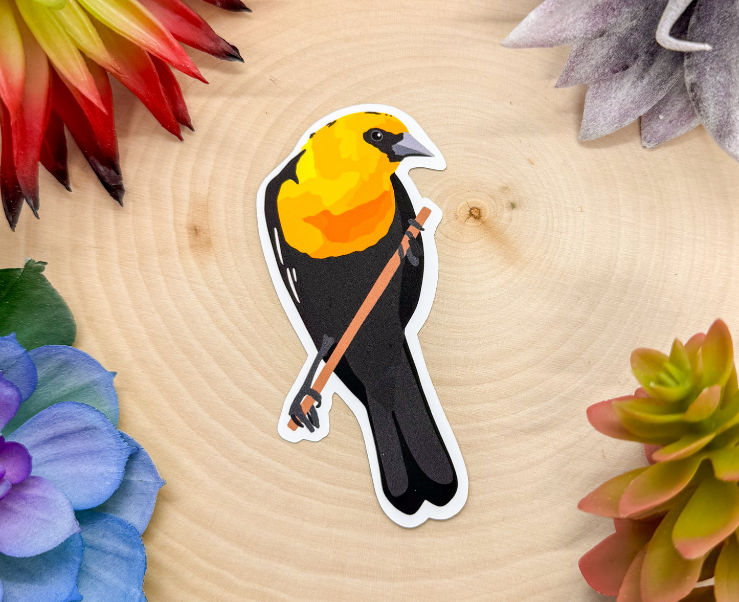 Yellow Headed Blackbird Sticker