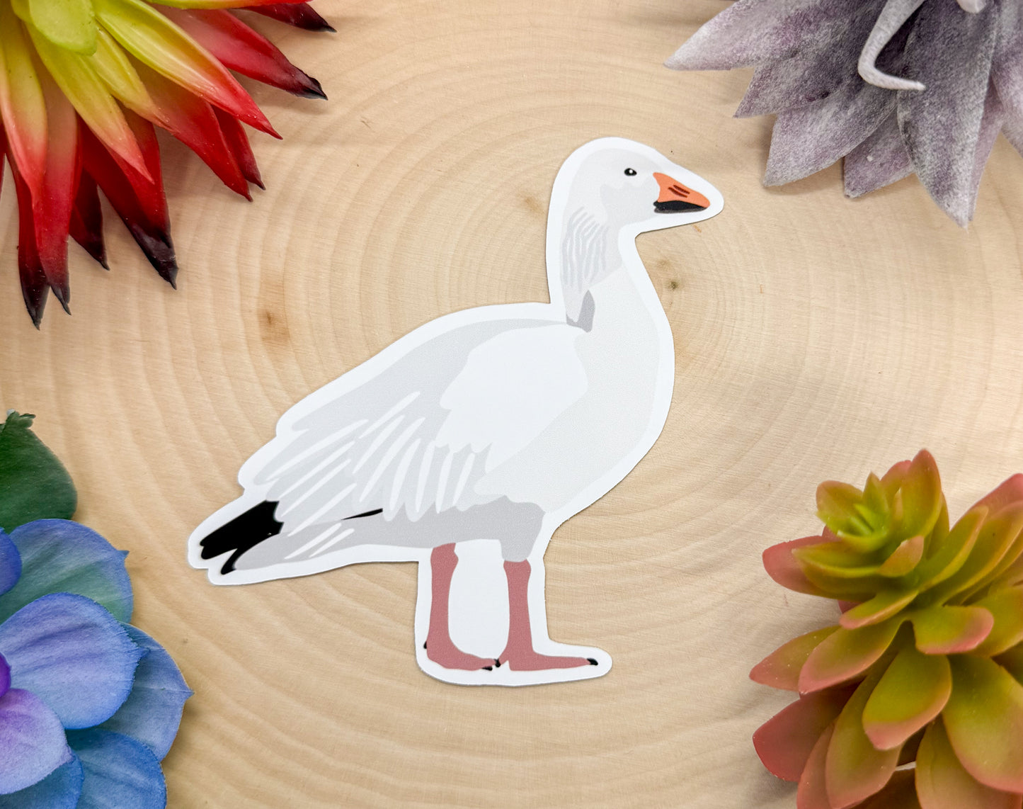 Ross's Goose Sticker