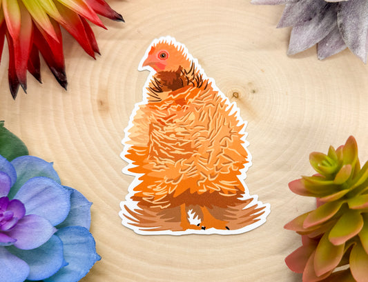 Frizzle Chicken Sticker