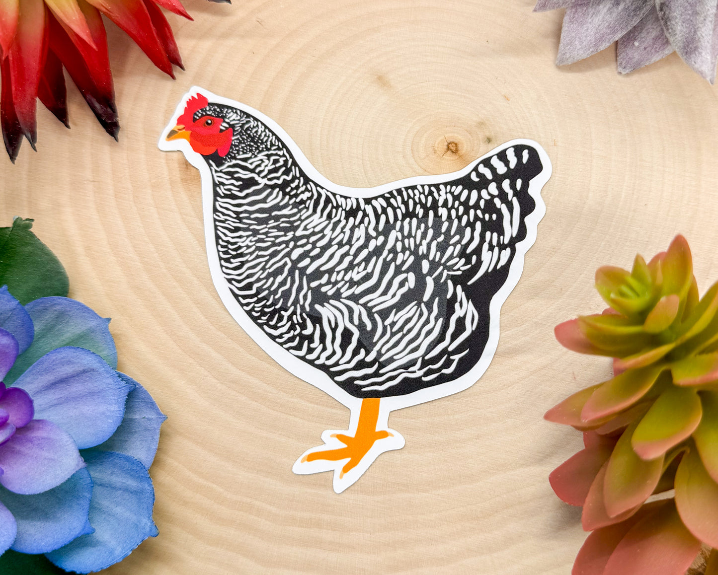 Plymouth Rock Chicken Sticker