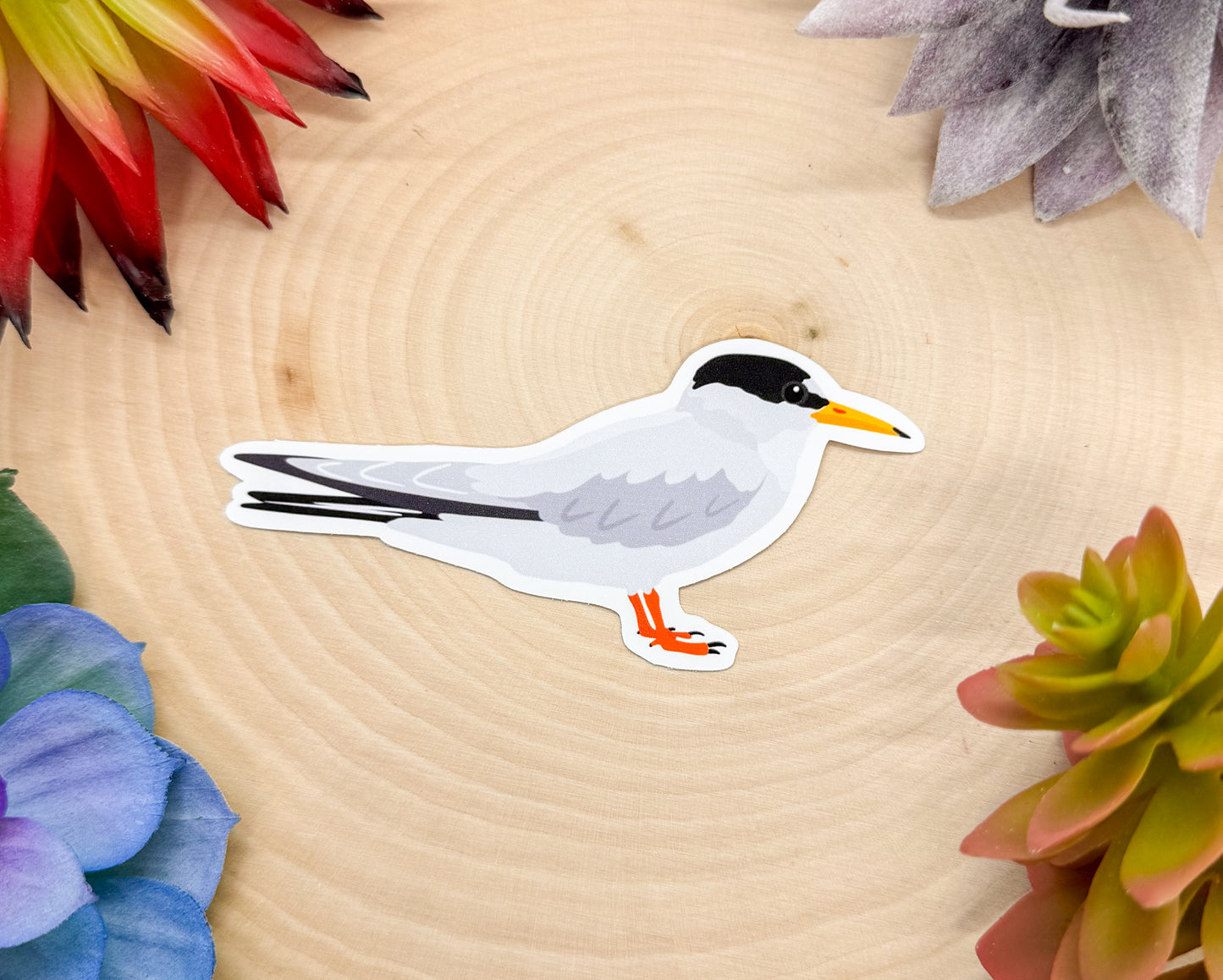 Least Tern Sticker