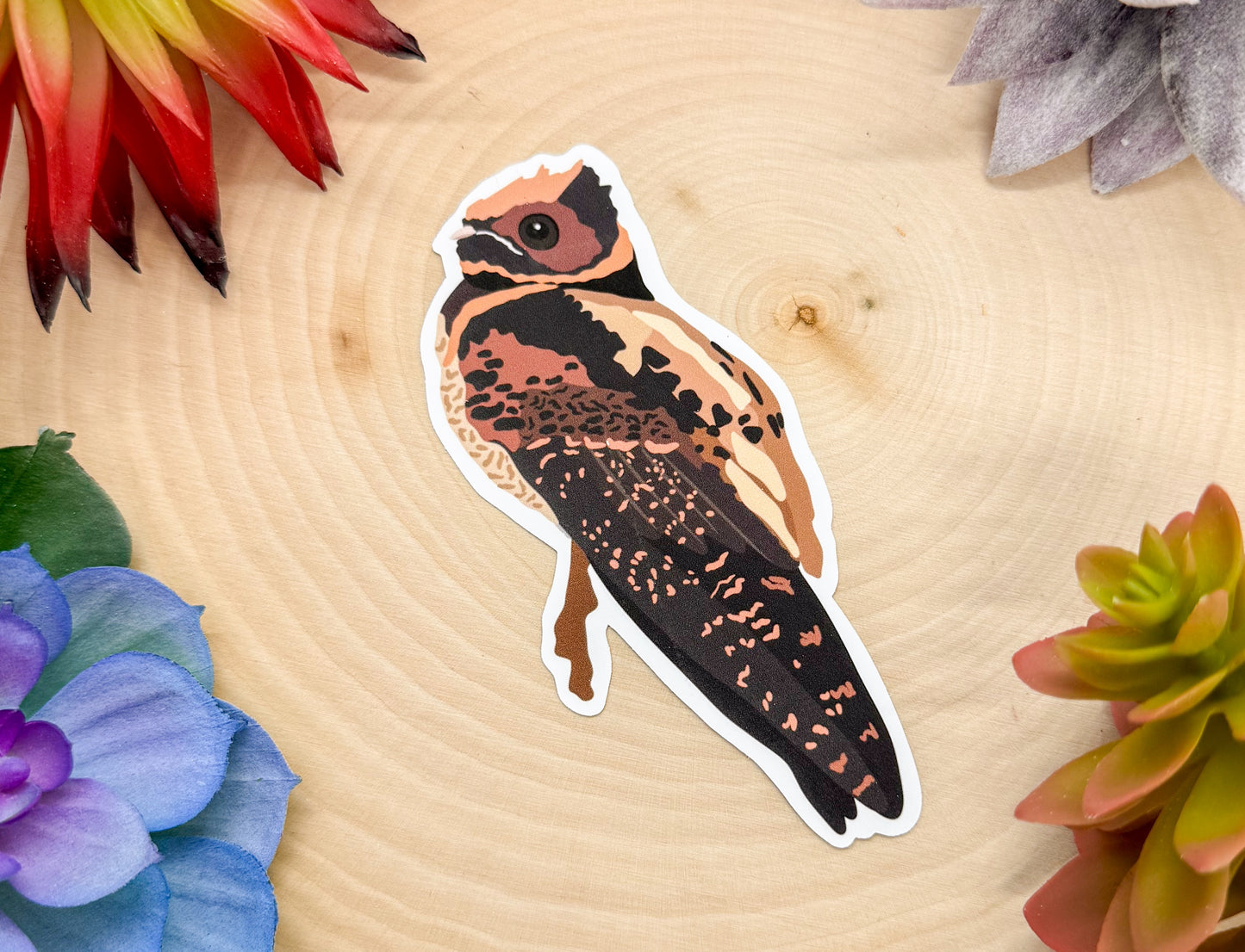 Nightjar Sticker