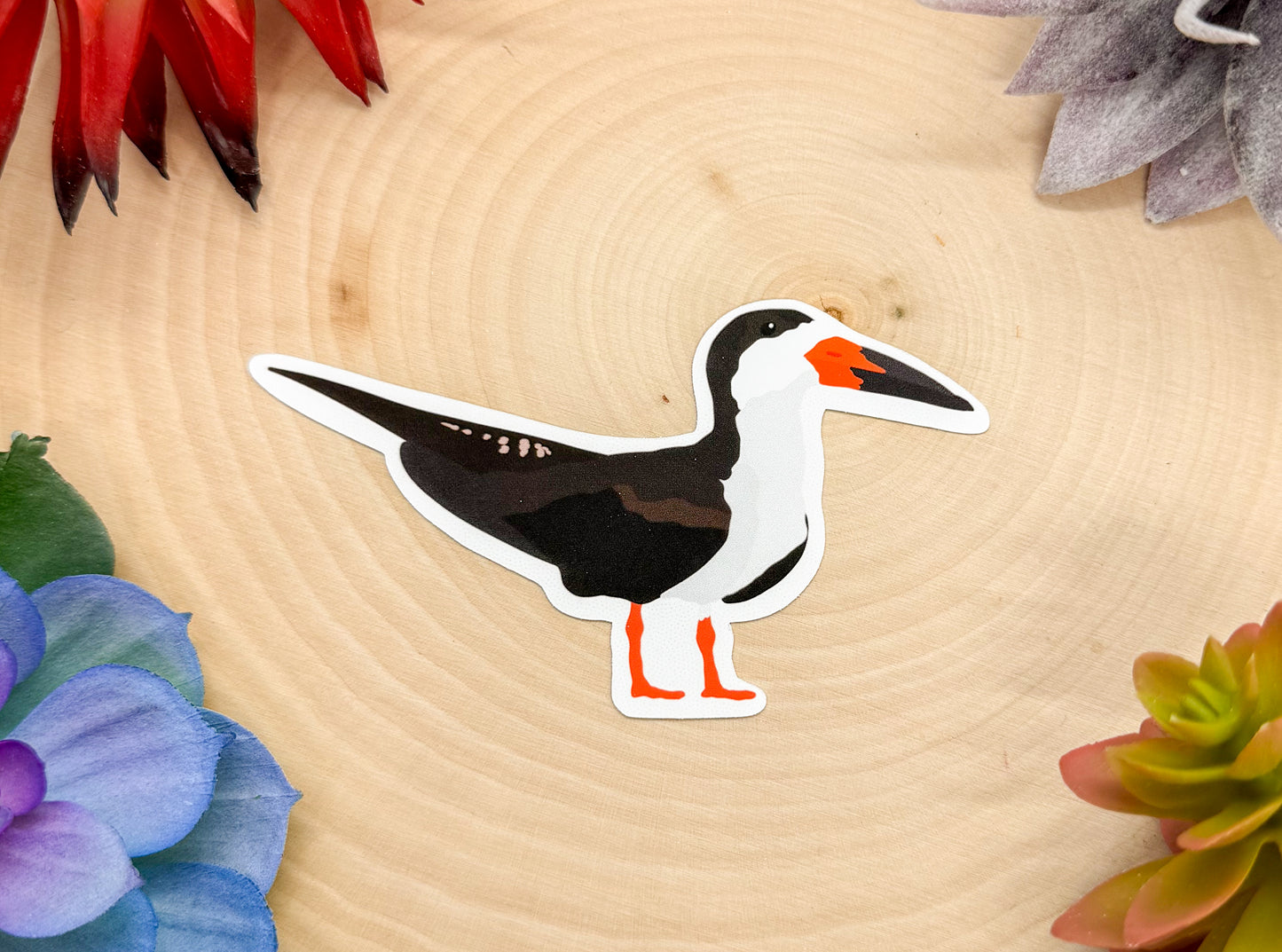 Black Skimmer Sticker