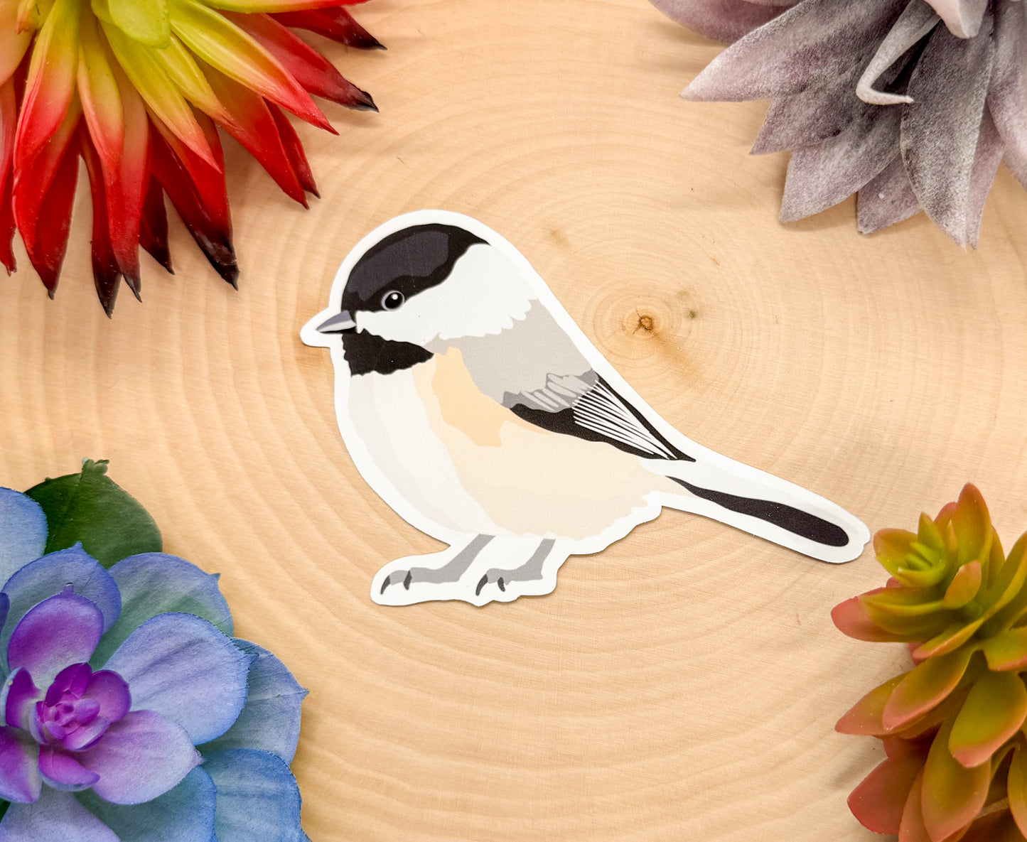 Black Capped Chickadee Sticker