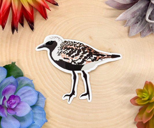 Black Bellied Plover Sticker