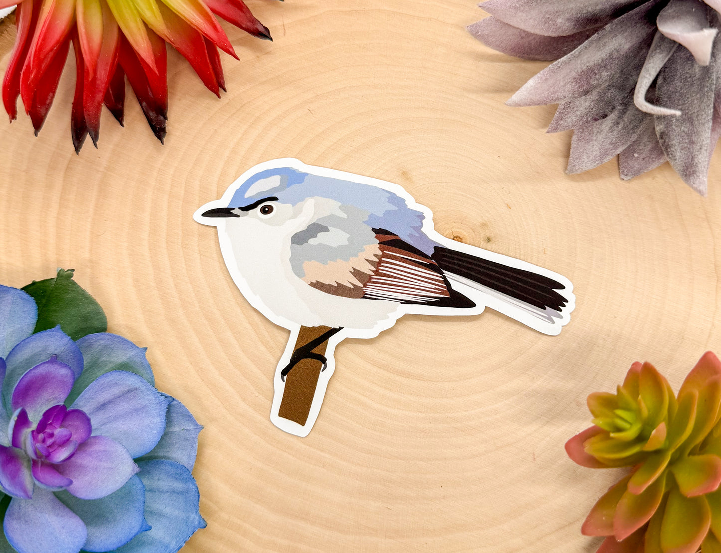 Blue Gray Gnatcatcher Sticker