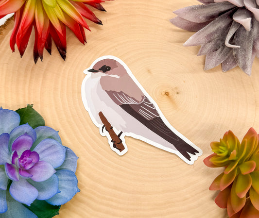 Northern Rough Winged Swallow Sticker